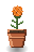 Tangerine