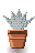 Pewter