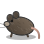 Giant Rat